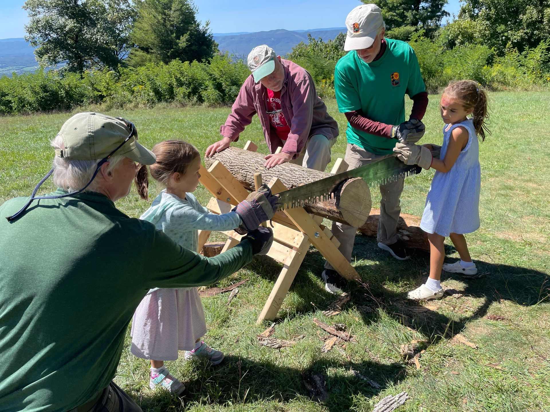 A group of people are cutting a log with a saw.