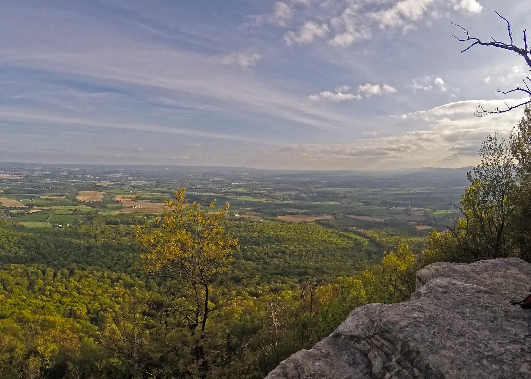 summit view of forest and farm fields