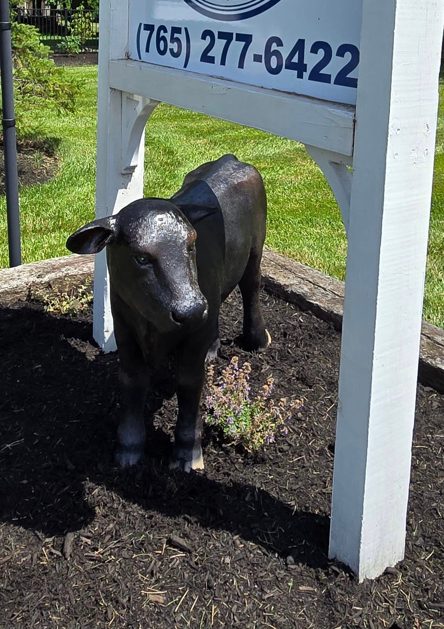 Calf statue under the A to Z Acres sign