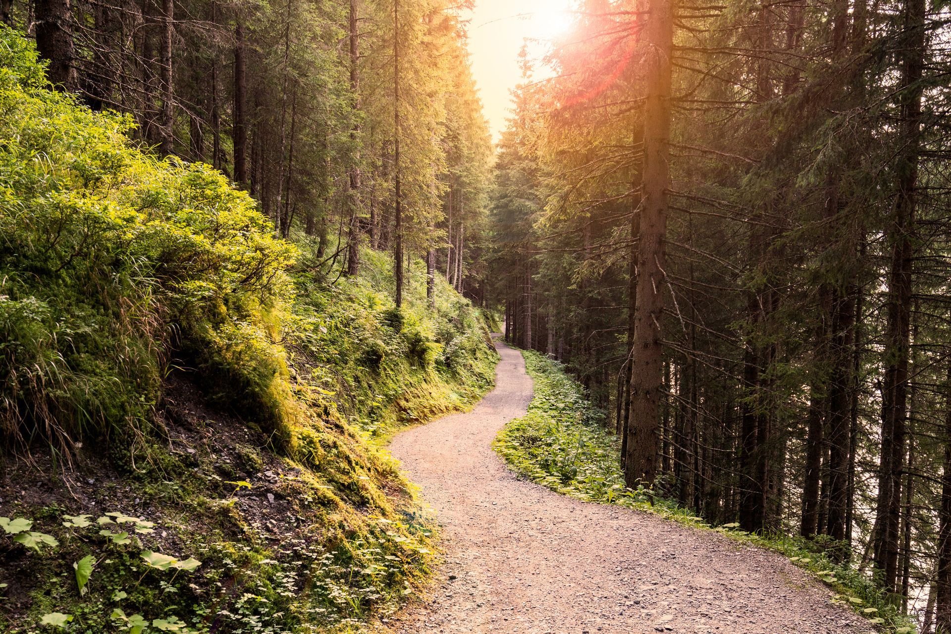 Christian Institute of Counselling