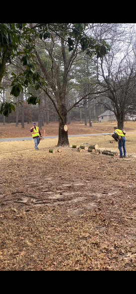 Two men in yellow vests are standing in a field next to a tree.