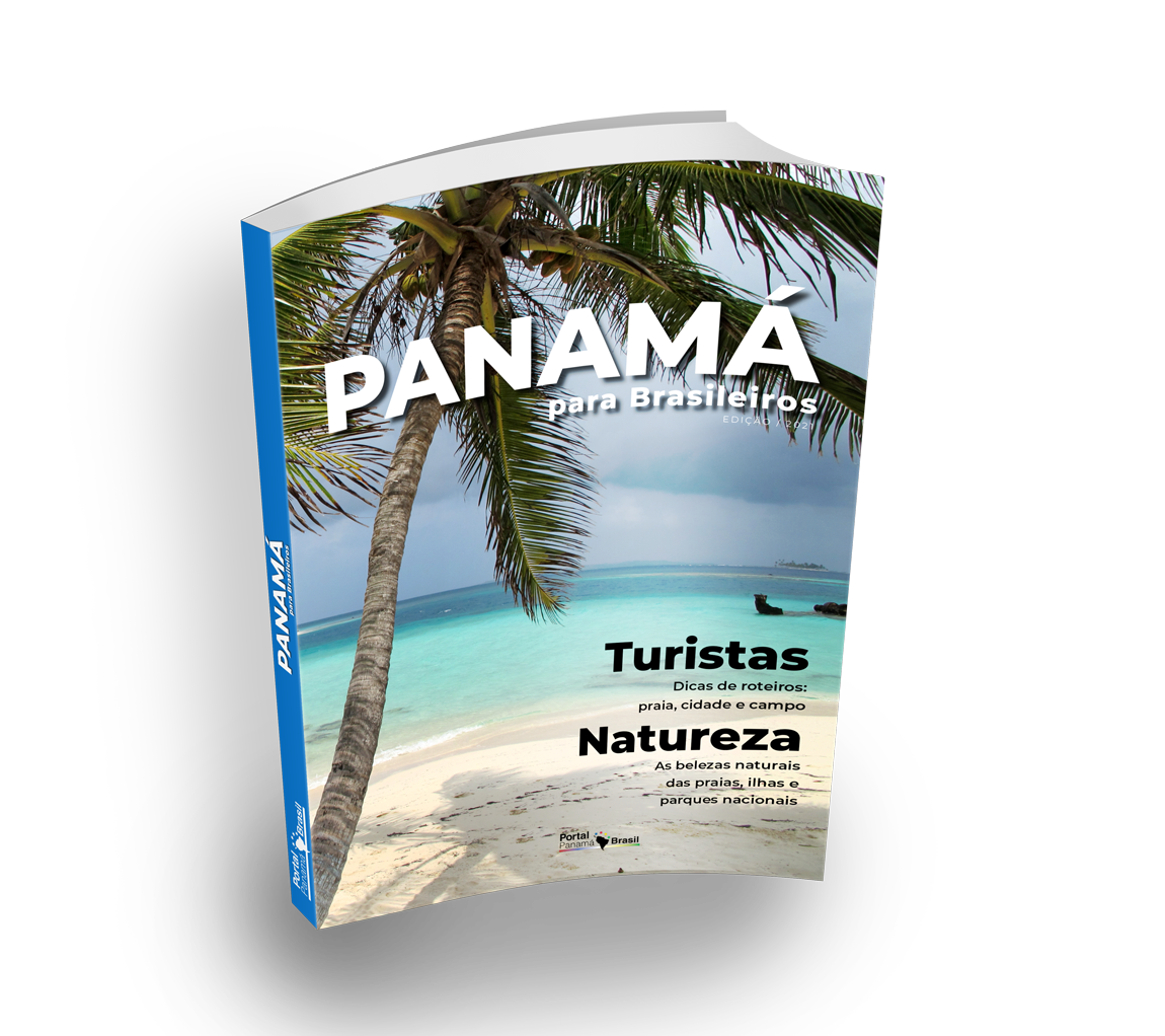 A book about panama with a palm tree on the cover