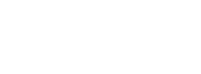 WIA Systems Inc Logo