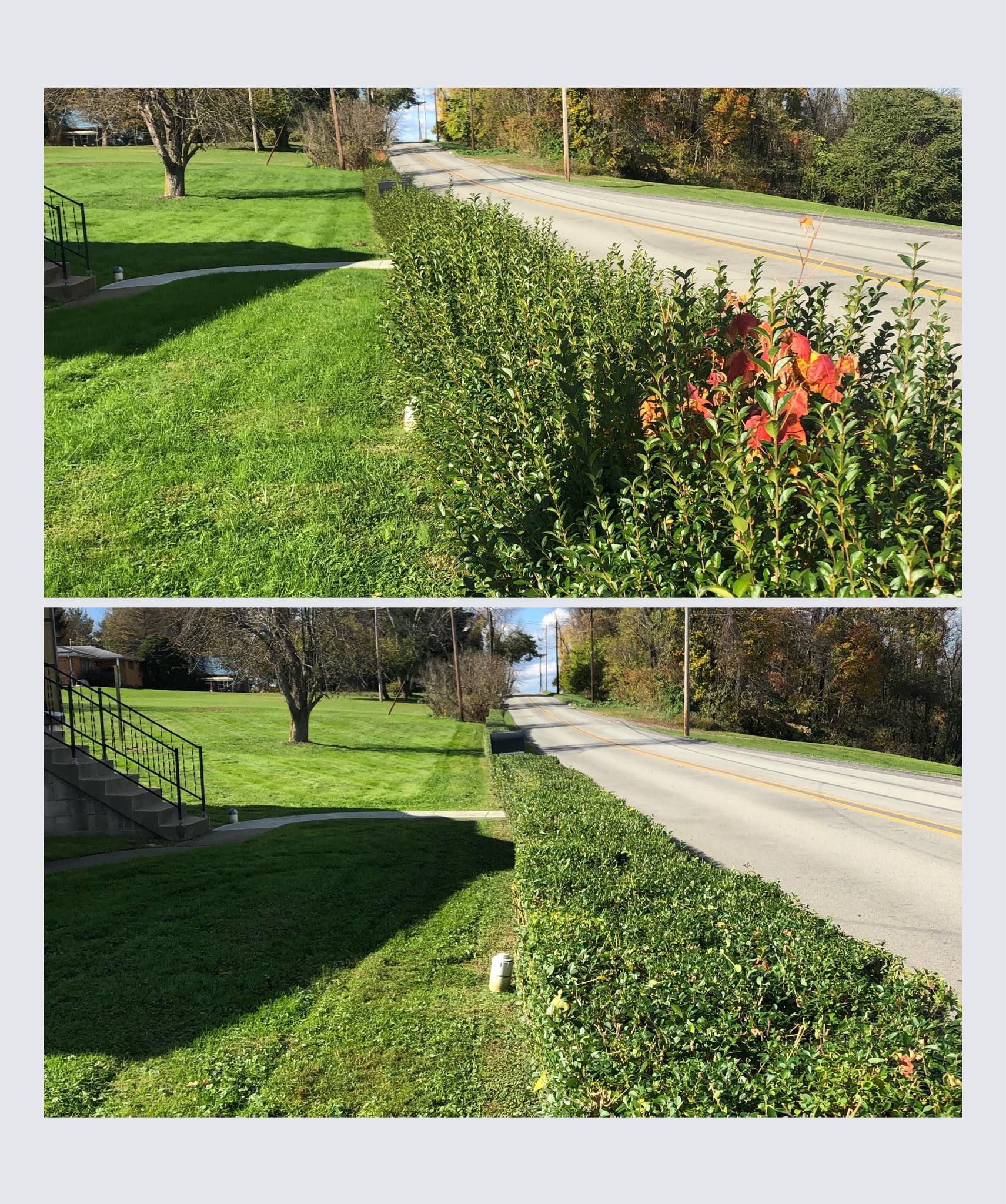 Before and after comparison of a roadside hedge being trimmed down in height next to a green lawn.