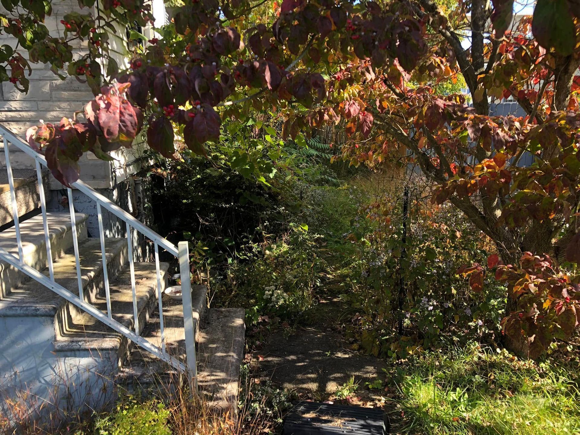 White metal railing alongside stone stairs leading to a building, framed by an autumn tree with red and green leaves.