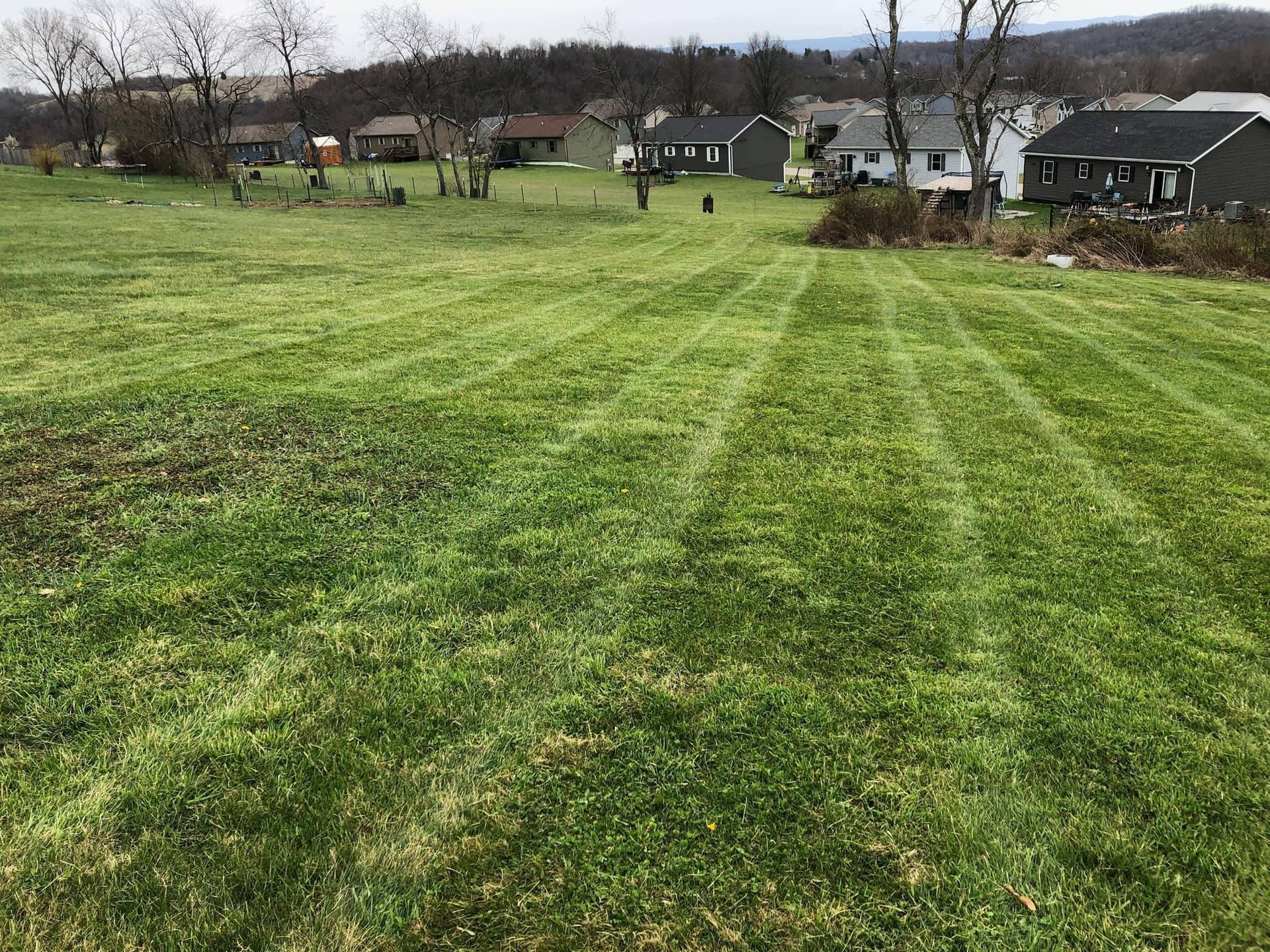 A wide, grassy field leads toward a small residential neighborhood with houses visible under an overcast sky.