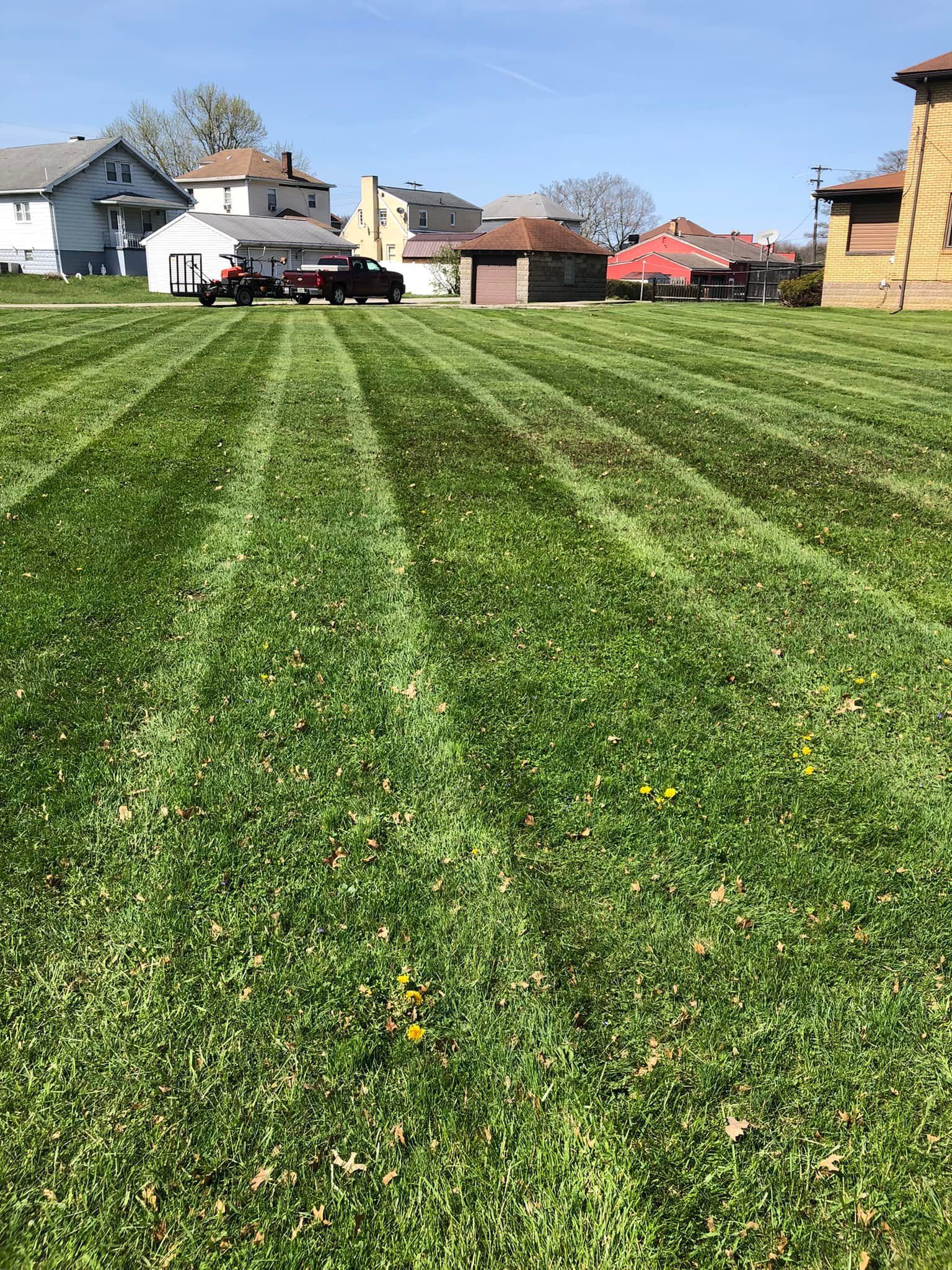 Freshly mowed lawn with prominent stripes in a residential neighborhood with houses in the background.