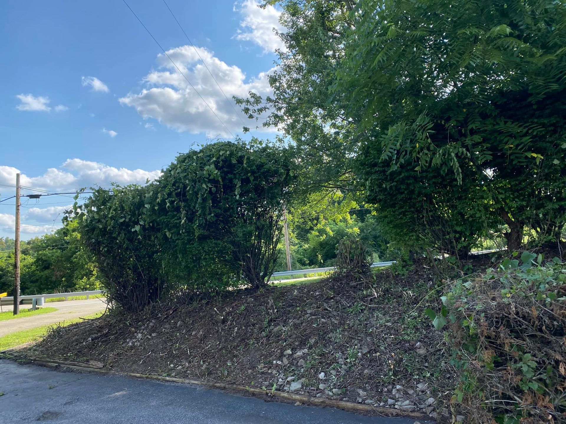 A paved road runs alongside a sloped, rocky embankment planted with shrubs and trees under a blue sky with clouds.