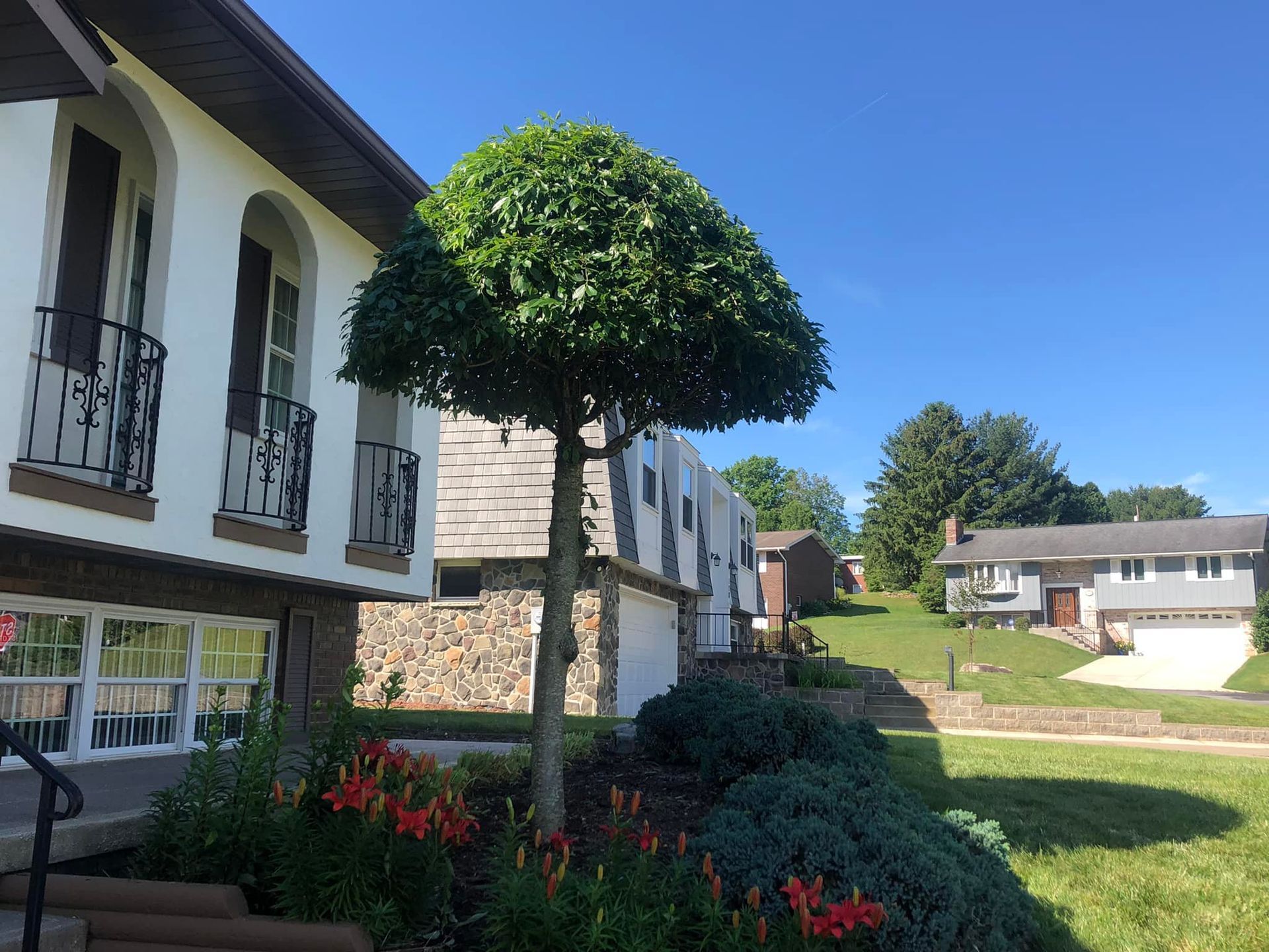 A sunny day shows a two-story house with a round-trimmed tree in front and other homes visible in the background.