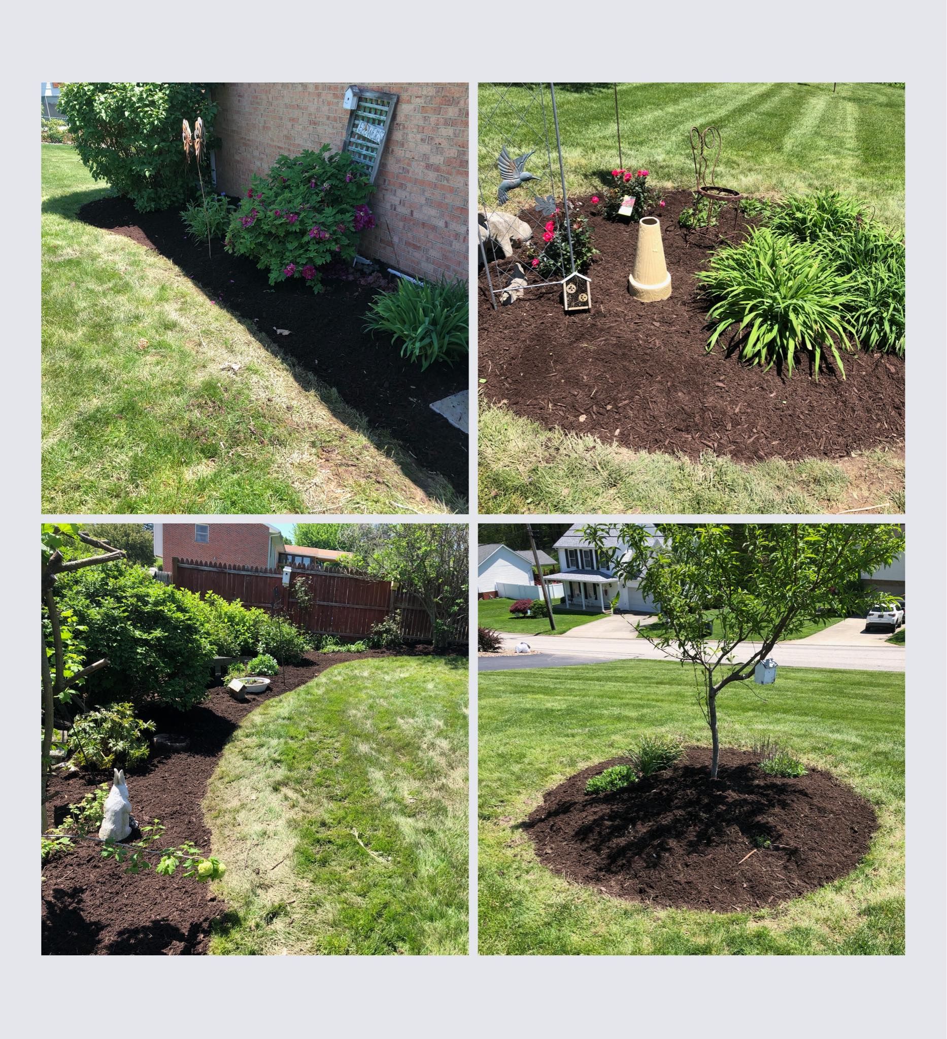 A four-panel collage showing various landscaping views featuring groomed mulch beds, ornamental plants, and a small tree.