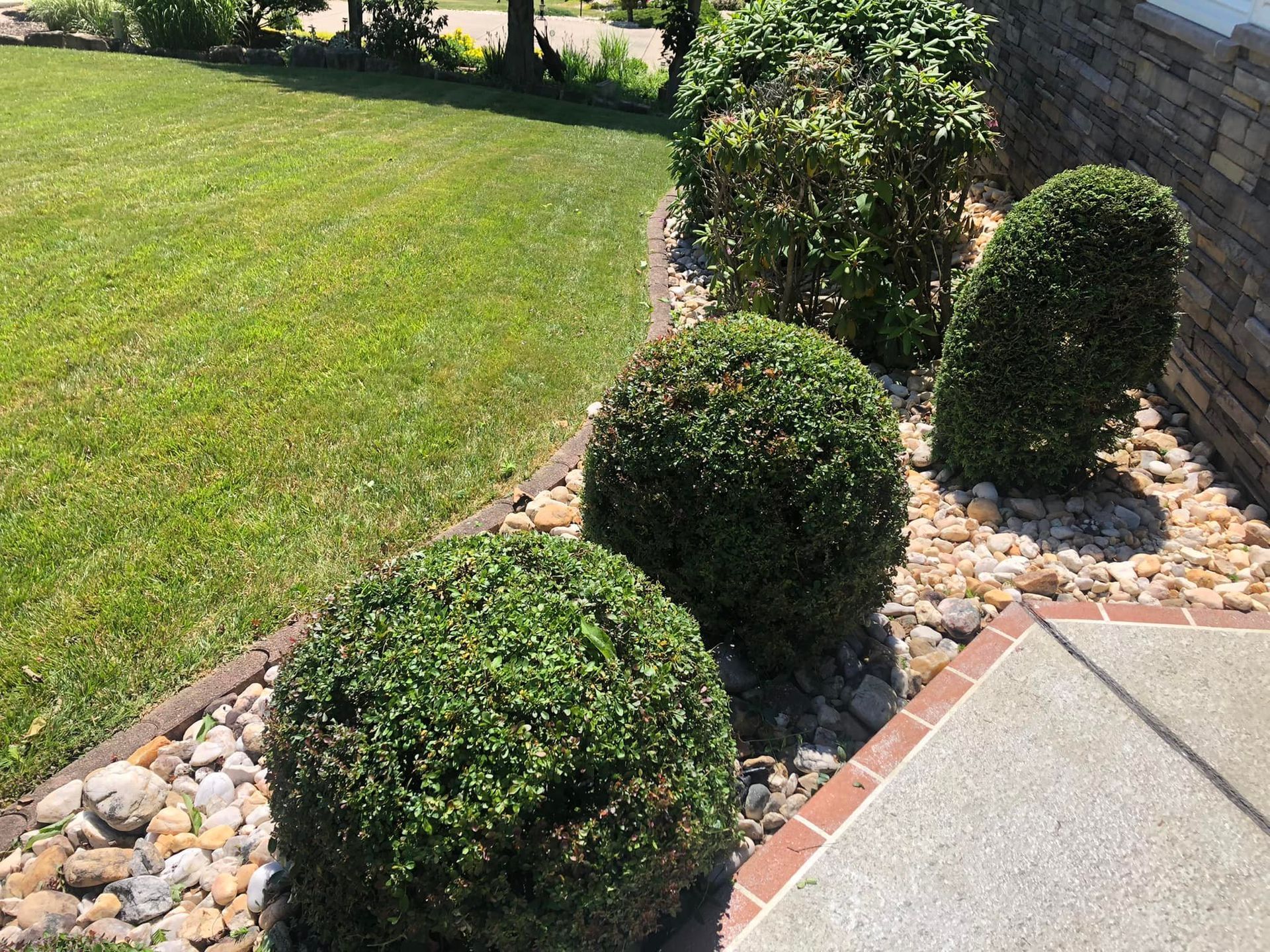 A manicured landscape bed with three rounded shrubs, river rocks, and a brick-bordered walkway next to a grassy lawn.