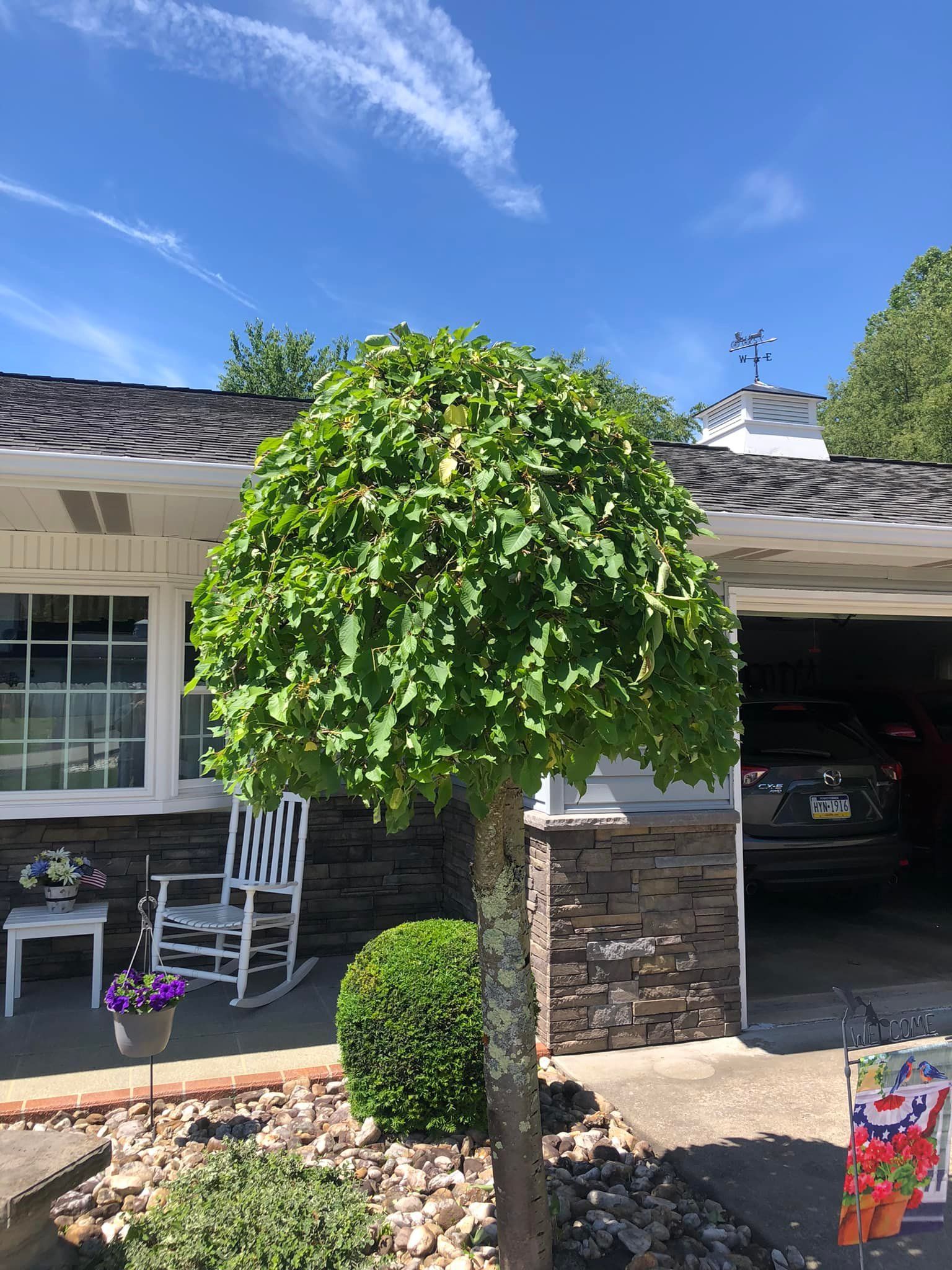 A round-topped tree stands in a front yard next to a white rocking chair, a stone-faced house, and a garage.