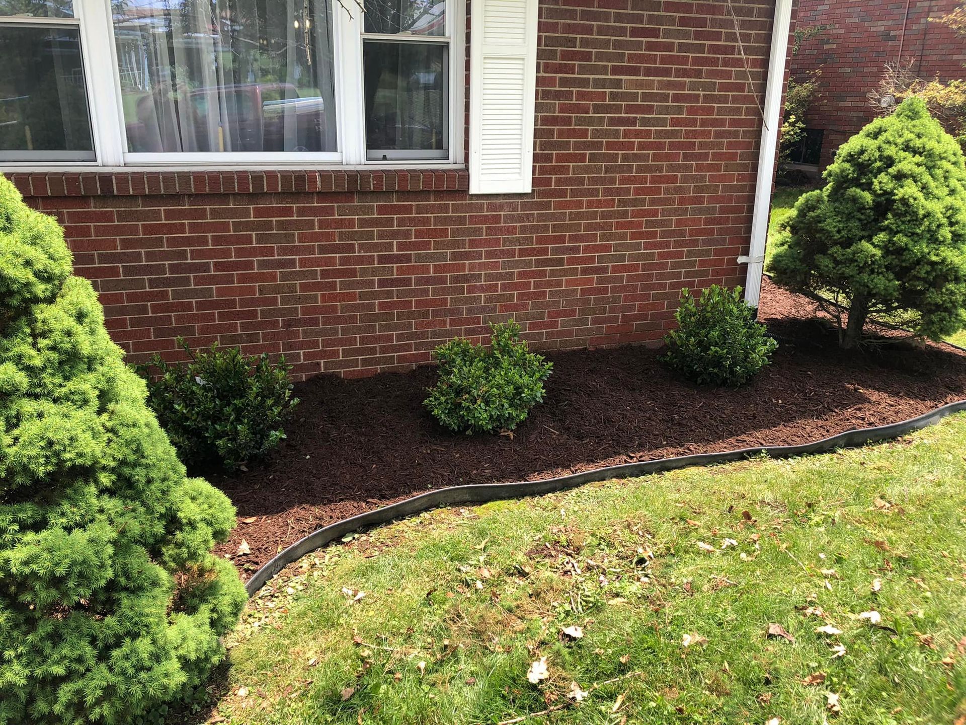A brick house exterior with a window, white shutters, and a garden bed filled with mulch, small shrubs, and mulch edging.