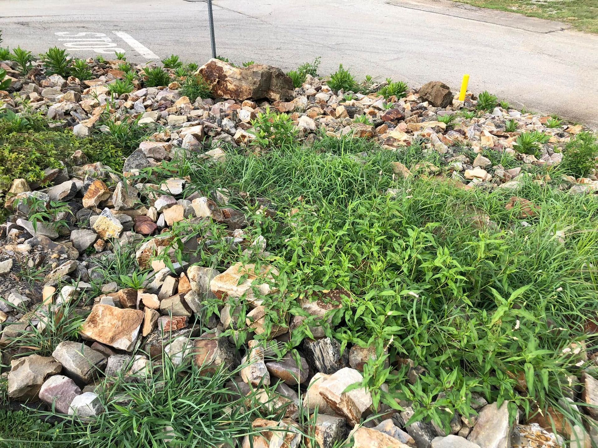 A rocky landscape feature with patches of green weeds and plants growing between the stones near an asphalt road.