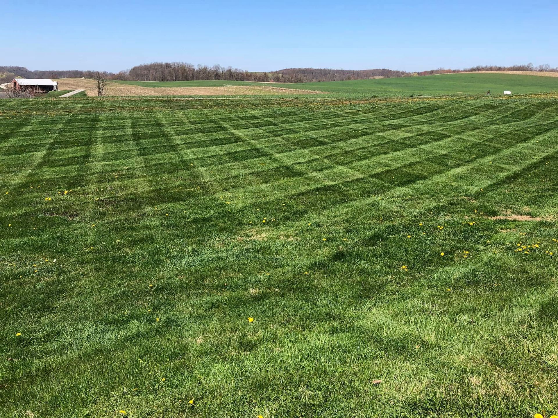 A large, vibrant green field with cross-hatched lawnmower patterns under a clear blue sky, with a barn in the distance.