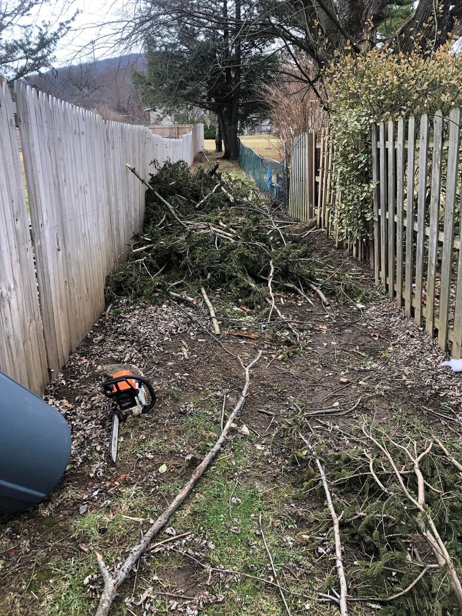 A pile of trimmings and a chainsaw on the ground between two wooden fences in a backyard setting.