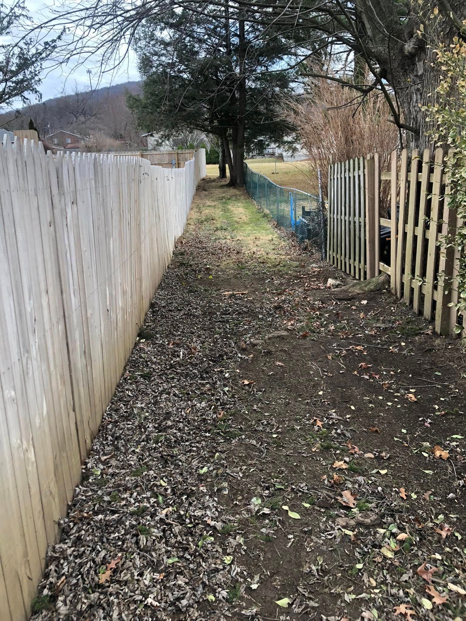 A narrow dirt path lined with fallen leaves runs between a wooden privacy fence and a wire fence under mature trees.