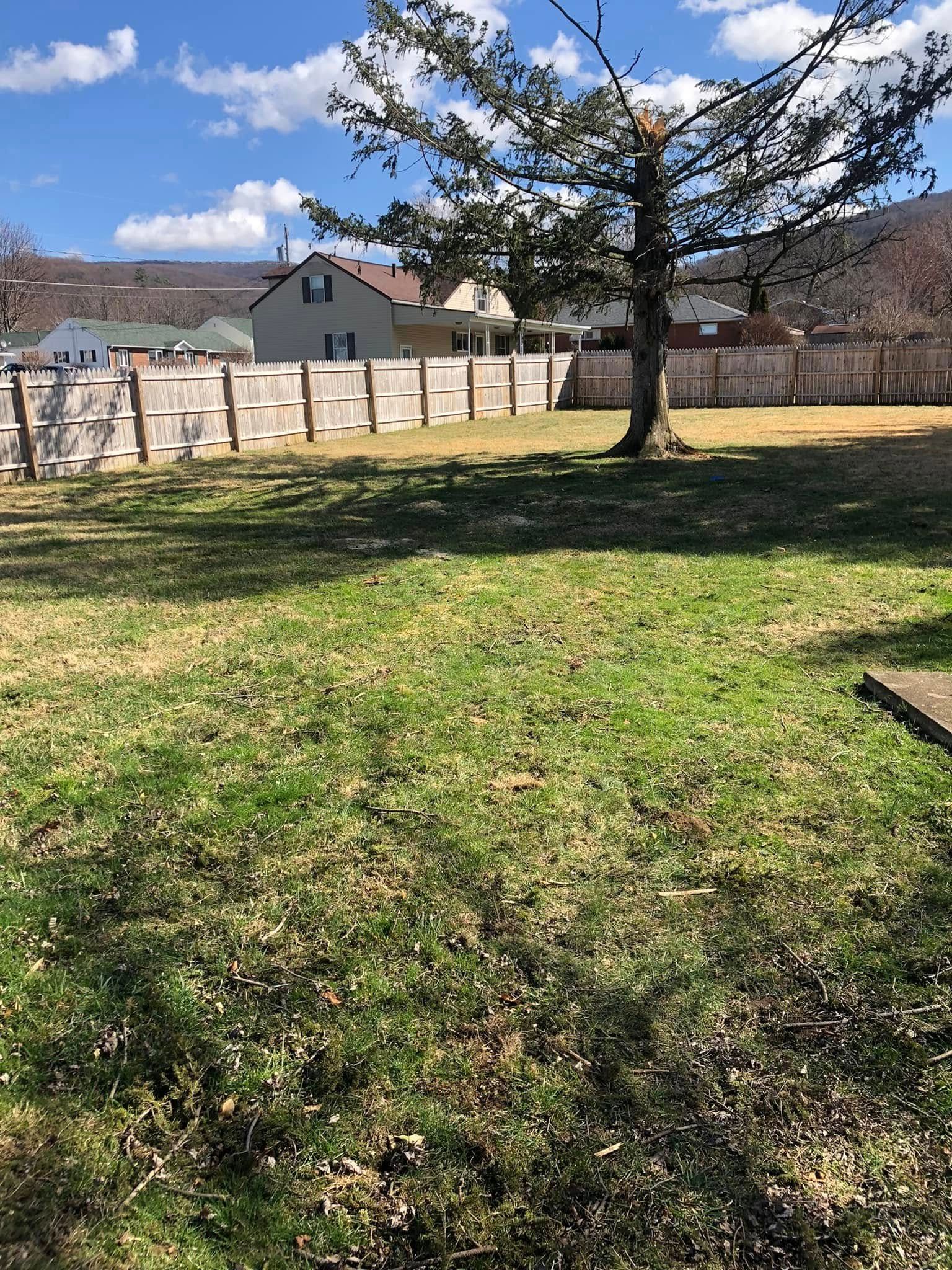 A grassy backyard with a large tree, a wooden fence, and a house in the background under a blue sky.
