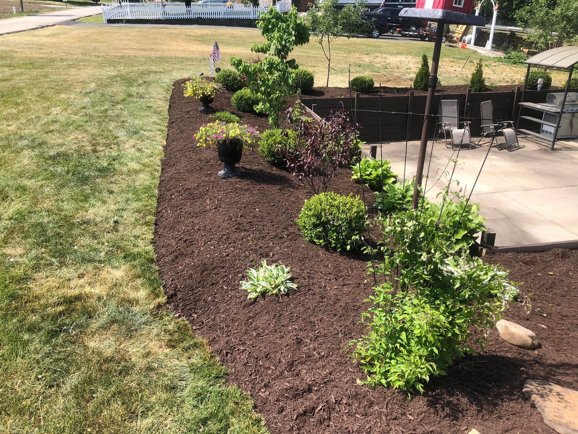 A landscaped garden bed filled with dark brown mulch, containing various green shrubs and perennials near a patio.