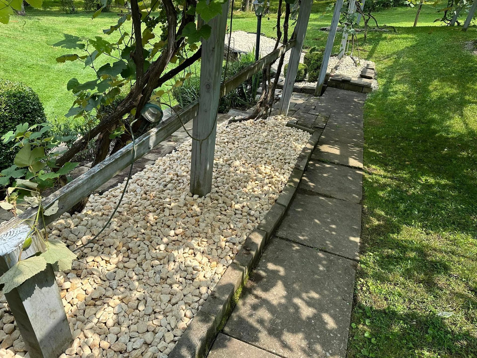 A graveled garden bed runs alongside a paved stone path beneath a grape trellis in a green, grassy backyard.