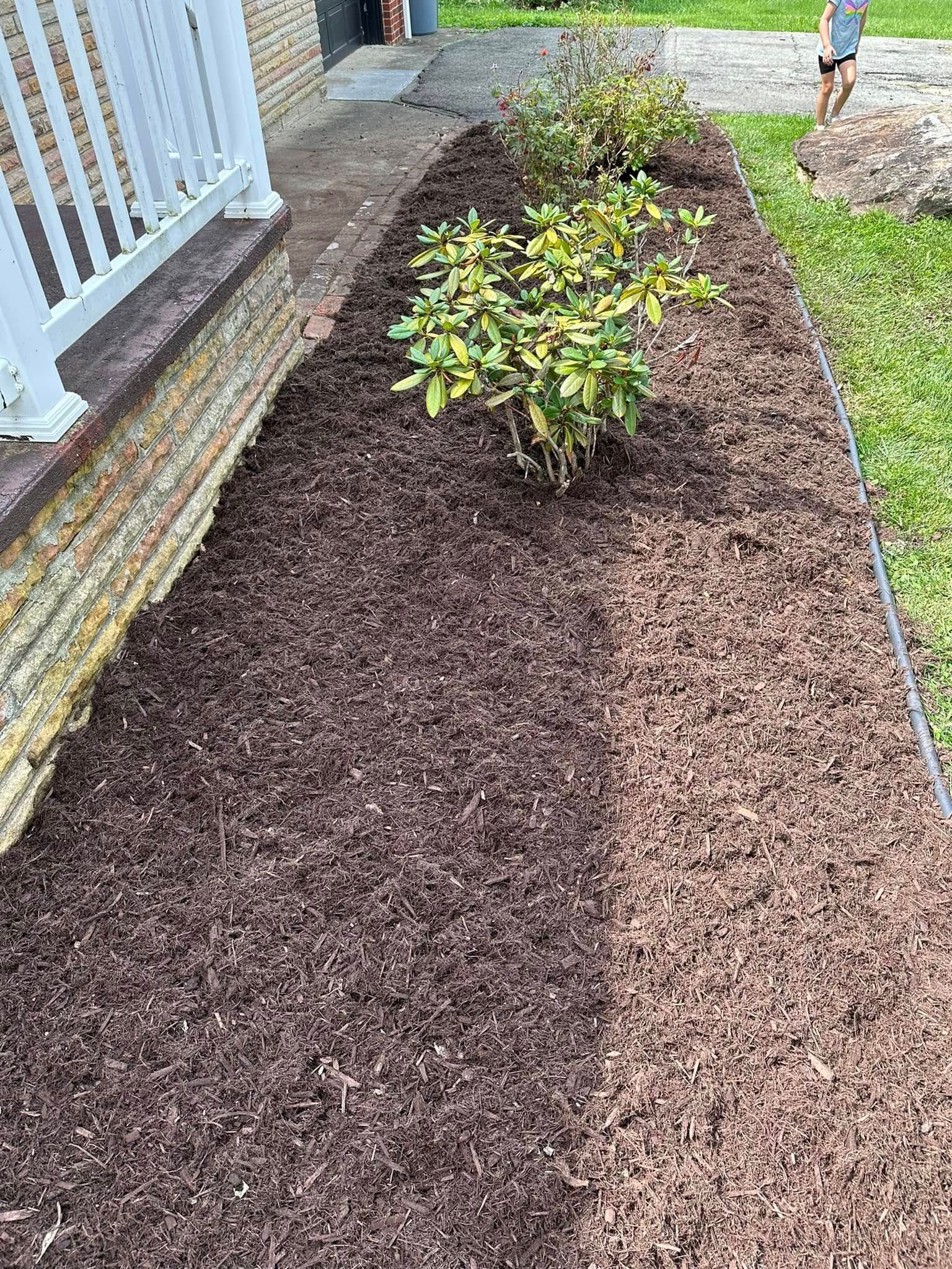 A garden bed with dark mulch and two green bushes next to a stone wall and white porch railing.