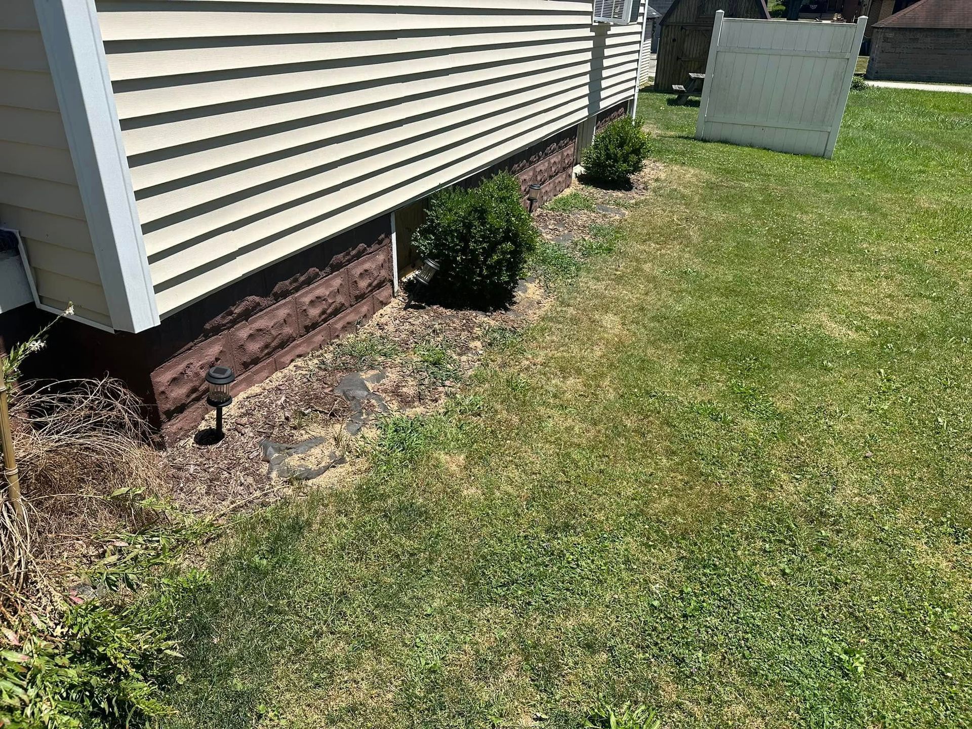 A house side wall with light siding and a dark brick foundation, featuring two small shrubs in a mulched flower bed.