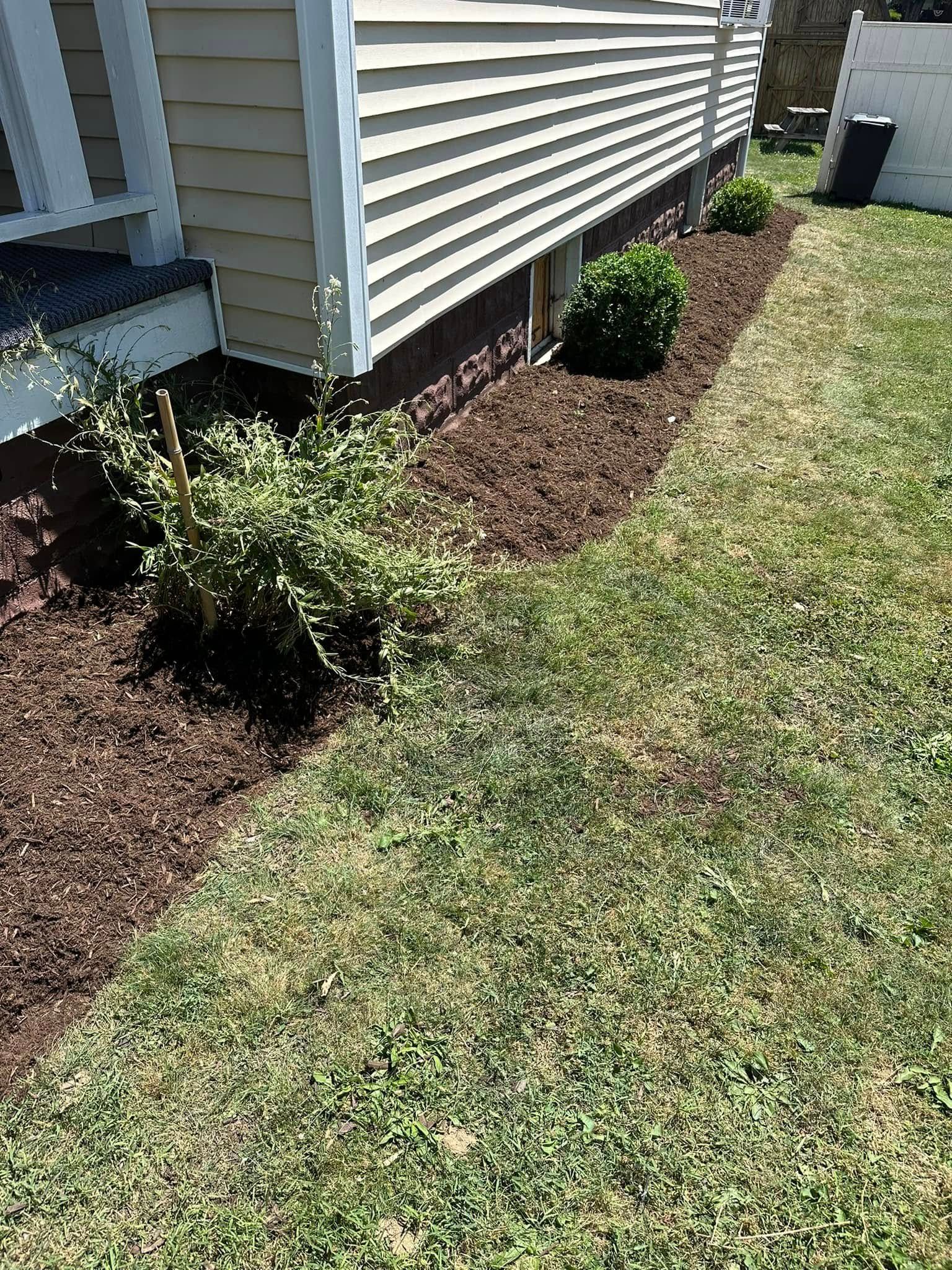 A tan house with light-colored siding, dark foundation, mulch landscaping, and green bushes along the lawn.