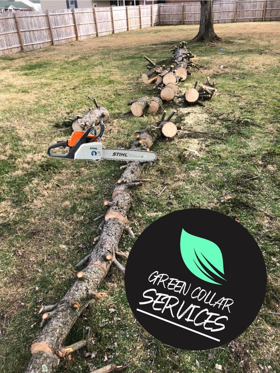 A fallen tree trunk cut into sections on a residential lawn, with a chainsaw and a Green Collar Services logo overlay.