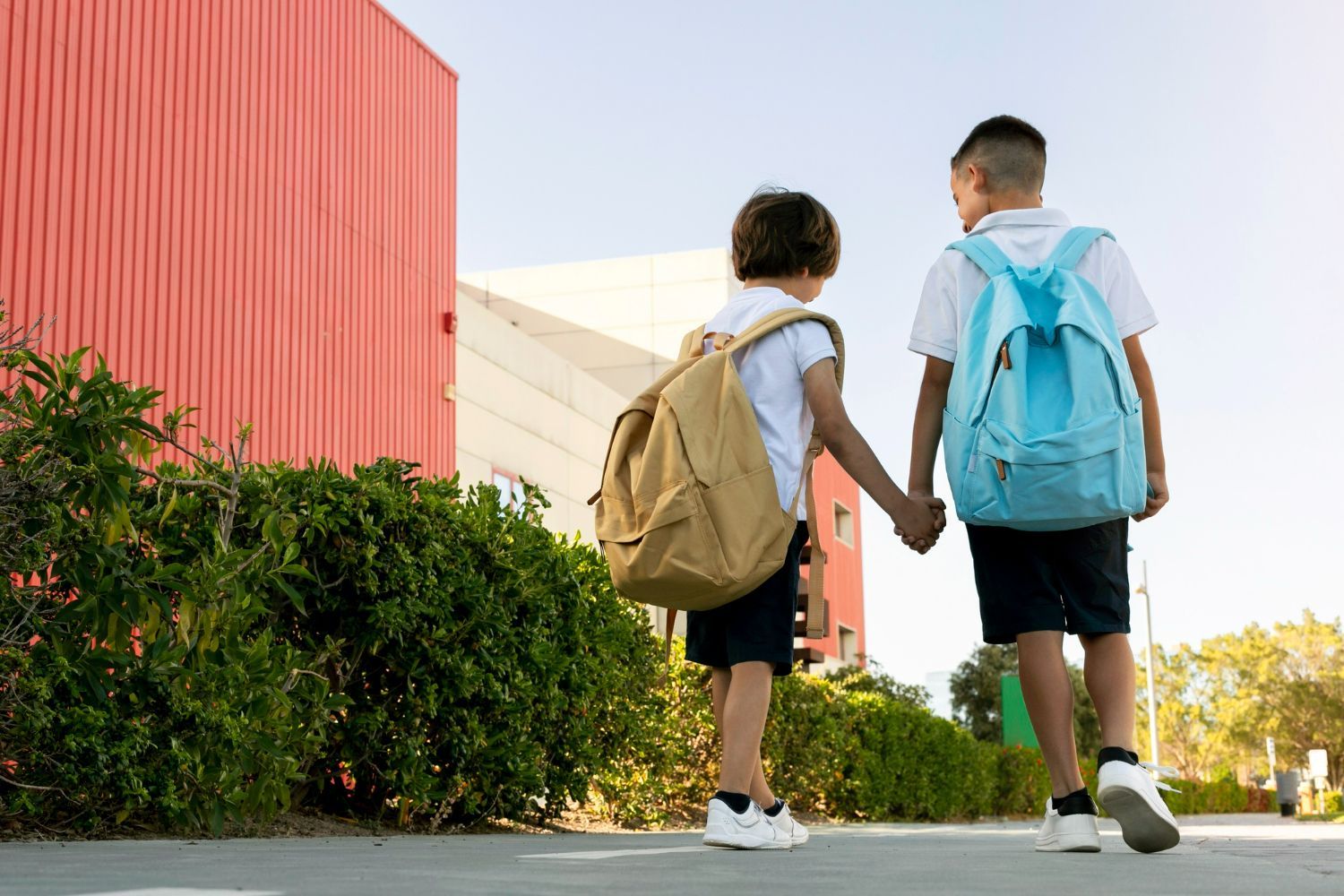 Two young boys with backpacks are walking down a sidewalk holding hands.