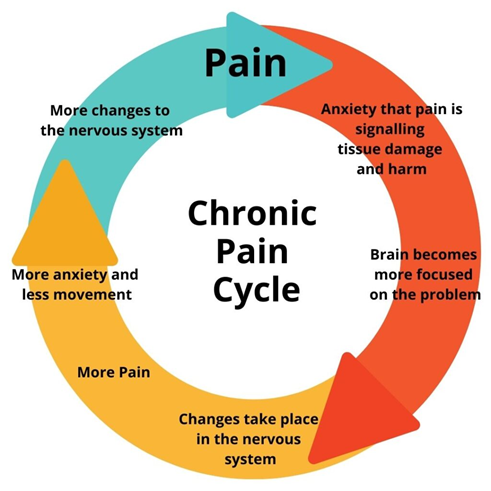 Diagram of a chronic pain cycle, showing how pain, anxiety, and the nervous system interact.