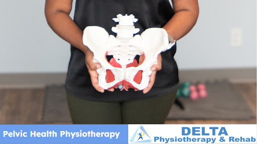 A person showing the pelvic bones