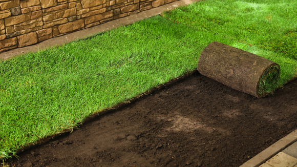 Roll of turf being laid on prepared soil next to a stone wall.