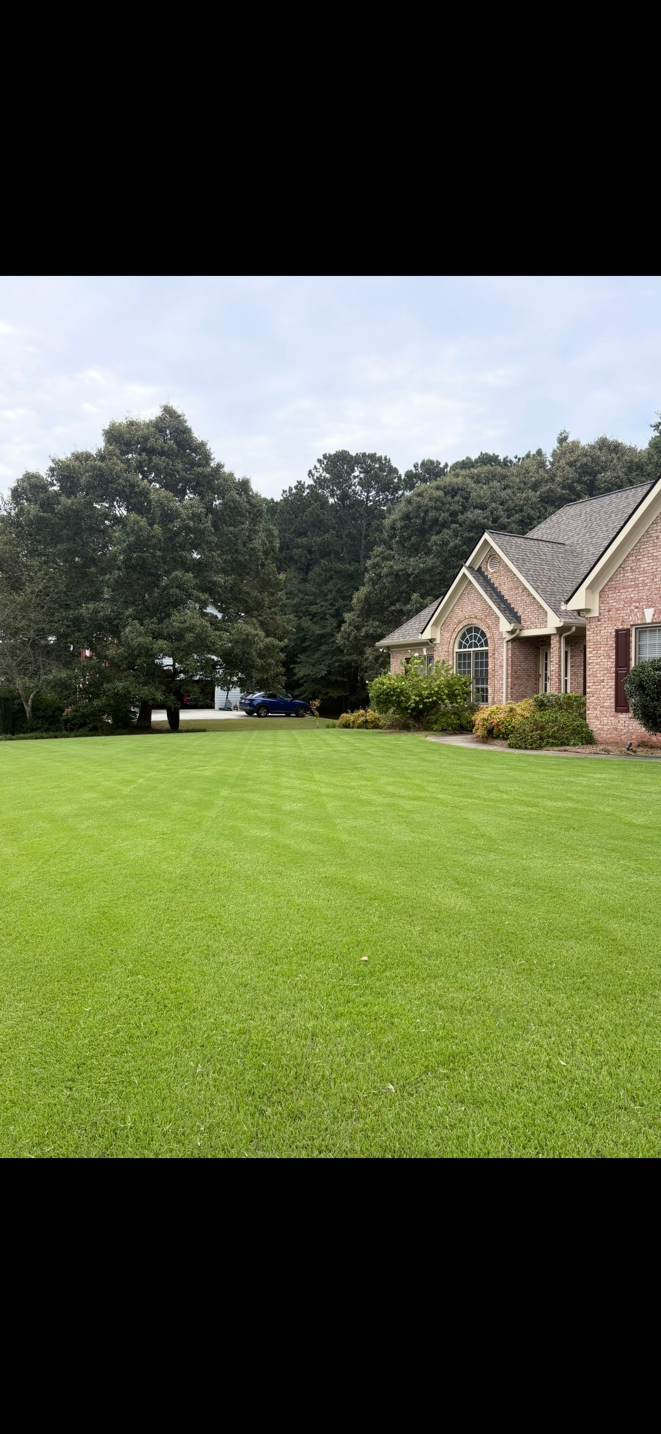View from a porch of a garden with lush greenery, including a bench and a reddish tree.