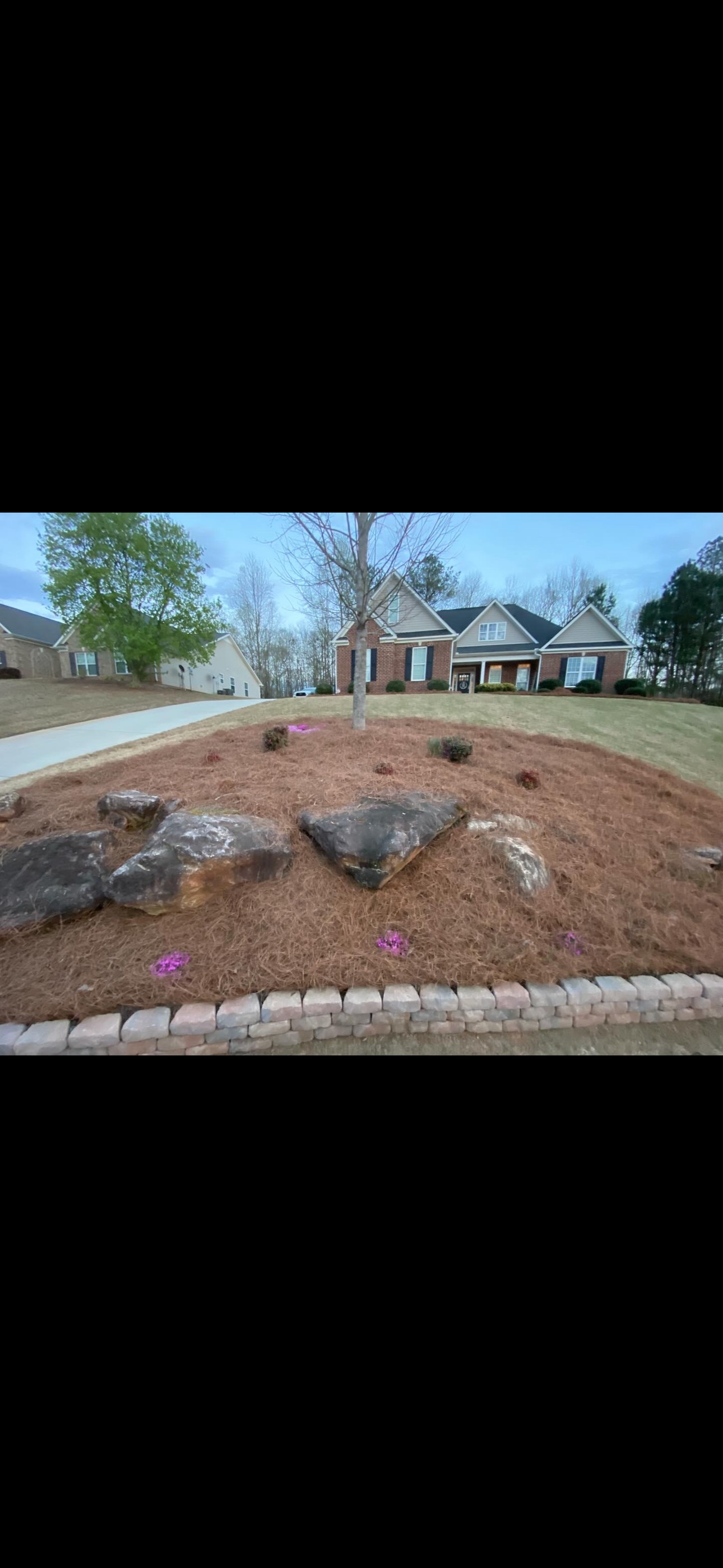 A landscaped yard with a mulch bed, rocks, and a low brick border. Houses are visible in the background.