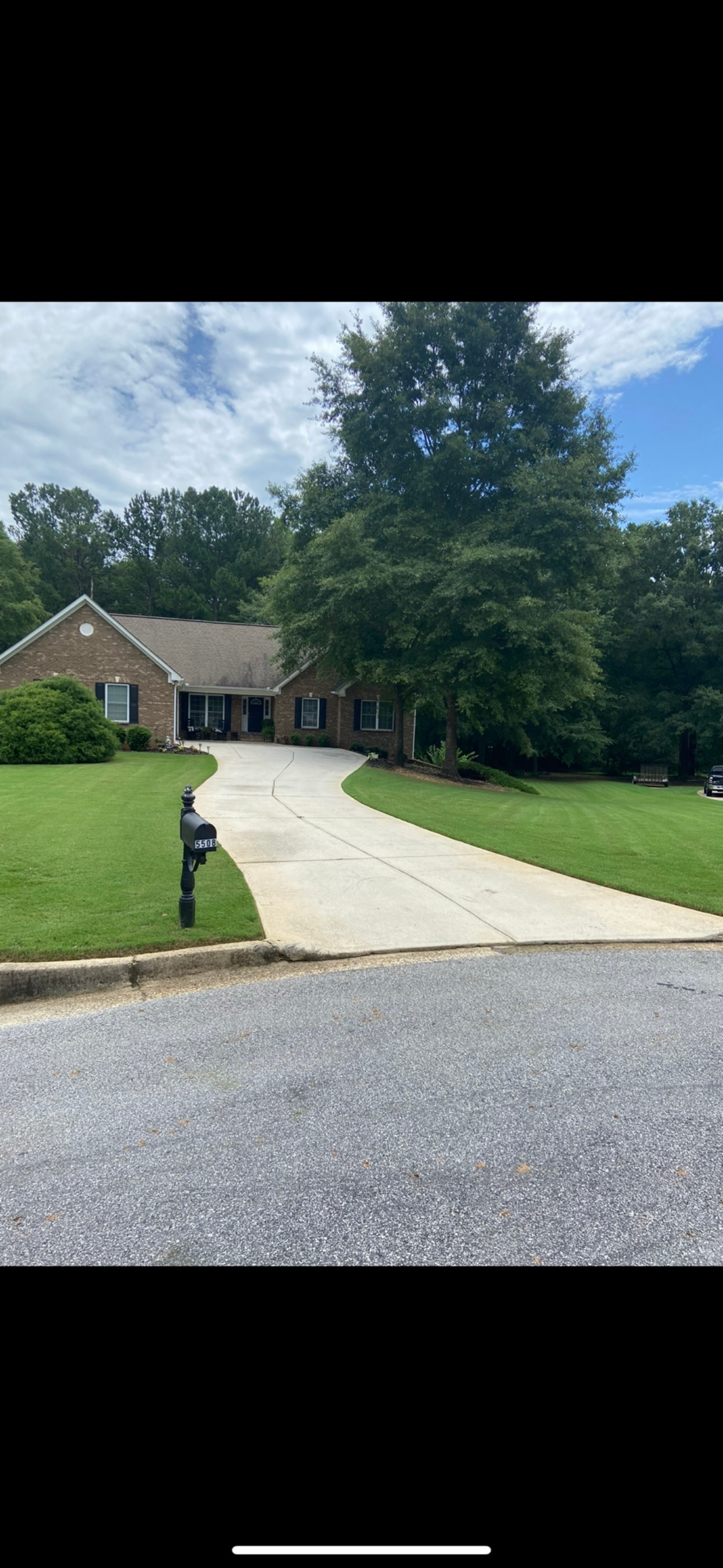 A pathway through leaves leads uphill. Trees surround a grassy area. Cloudy sky overhead.