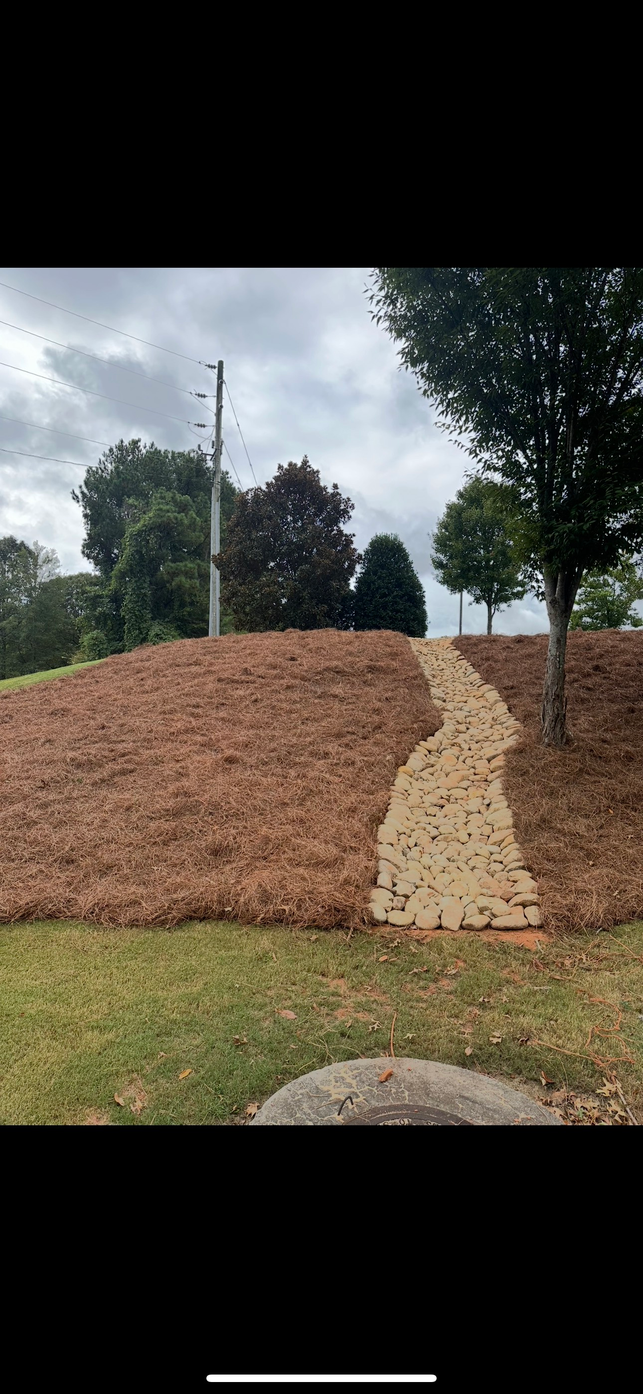 A pathway through leaves leads uphill. Trees surround a grassy area. Cloudy sky overhead.
