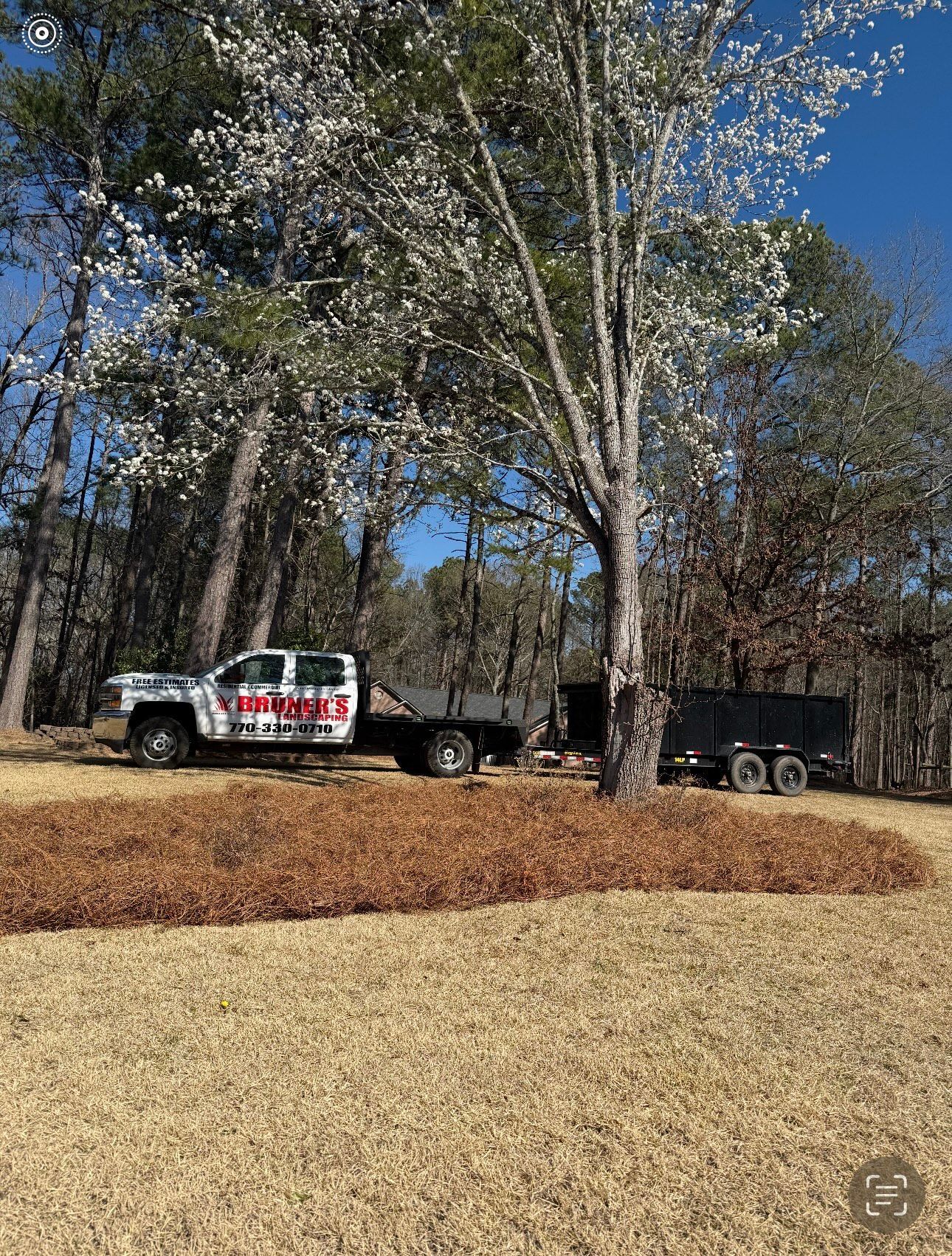 Truck and trailers in a yard with a tree in bloom, likely for yard cleanup.