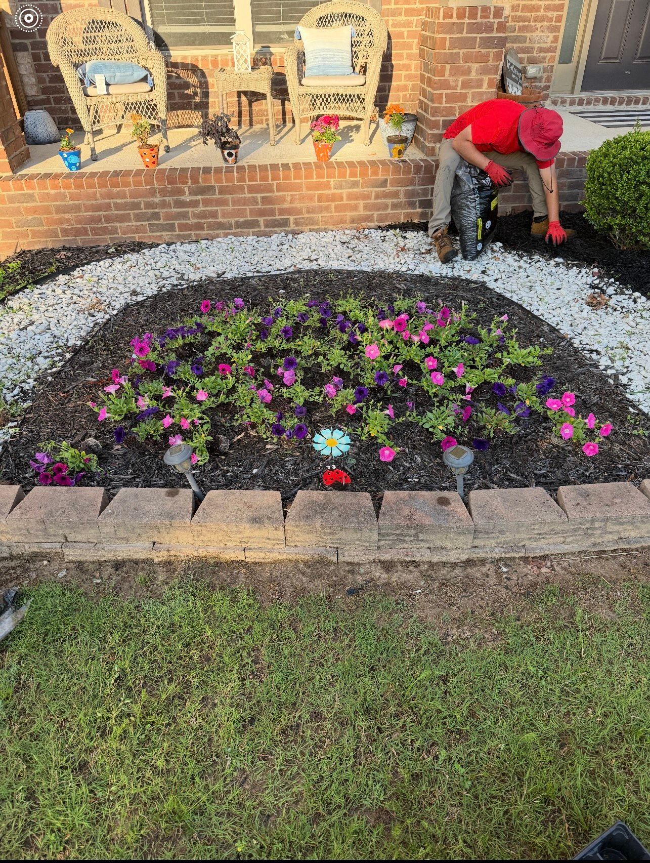 Person gardening in a flower bed filled with pink and purple flowers.