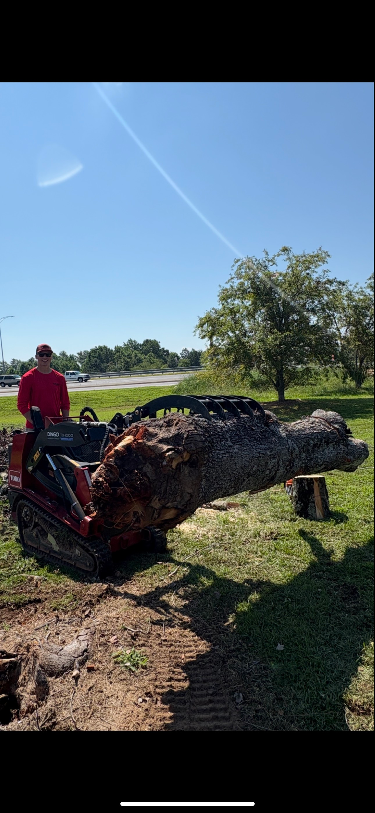 A person in red shirt near a small excavator with a large tree stump in a yard on a sunny day.