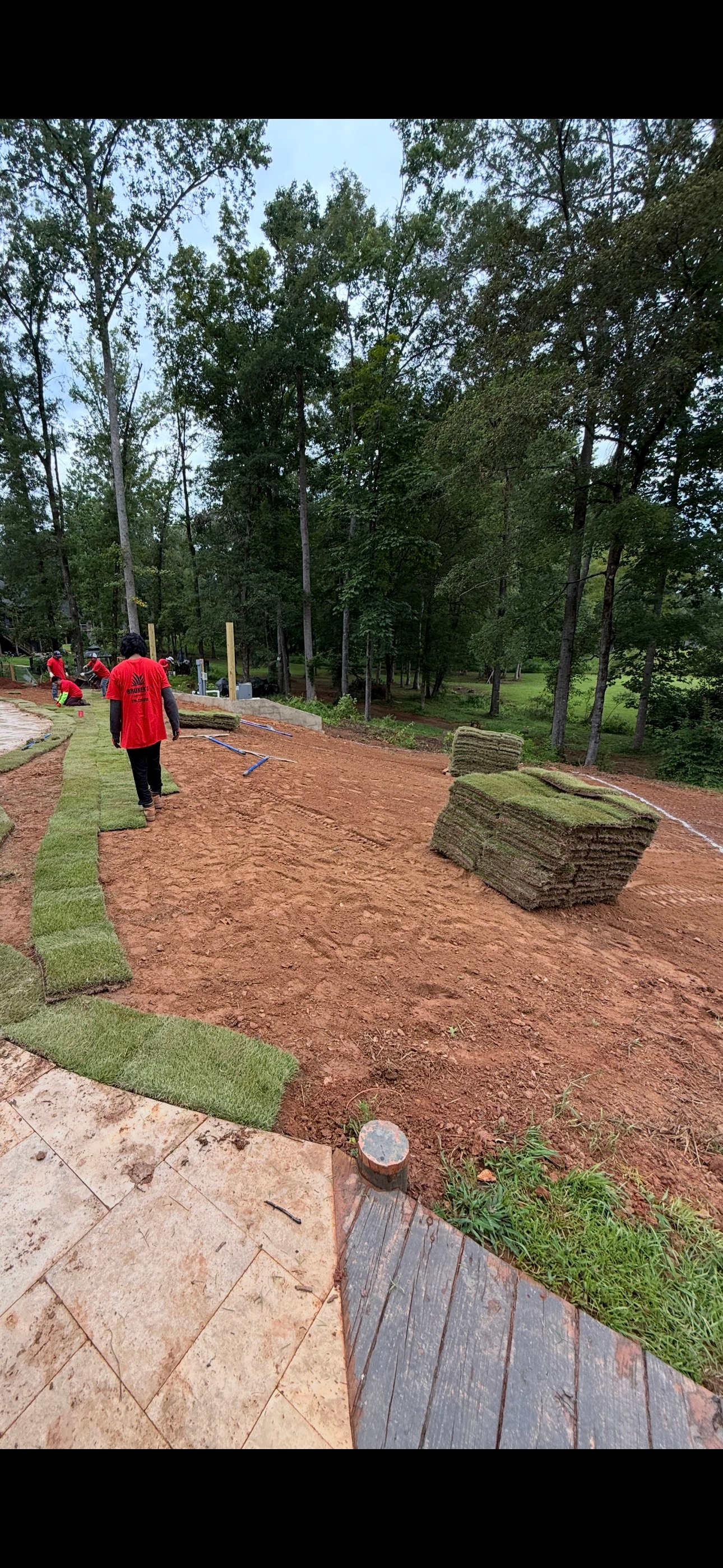 A person in red walks in a yard undergoing landscaping, with mulch, sod, and trees in the background.