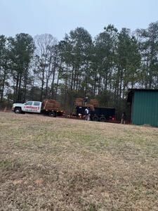 Long driveway leading to a two-story brick house surrounded by trees. Cloudy sky.