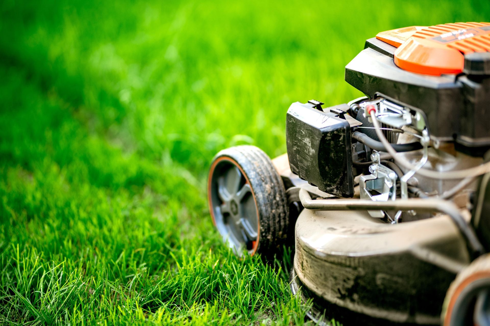 Lawnmower cutting green grass on a sunny day. Close-up of the machine and freshly cut path.