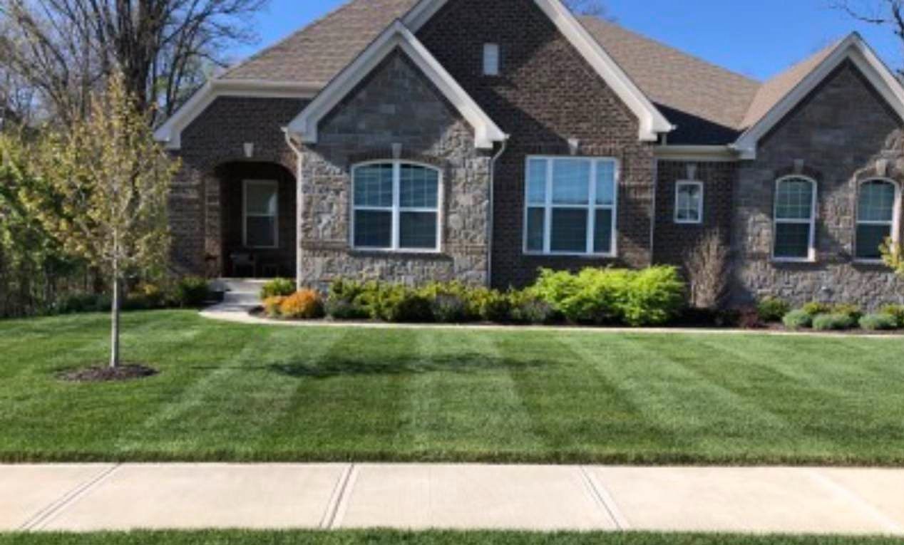 A house with a brick and stone facade, well-manicured lawn, and sidewalk.