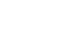 Primo piano di un cane di grossa taglia, di colore marrone scuro, con lunghe orecchie pendenti e un'espressione mite.