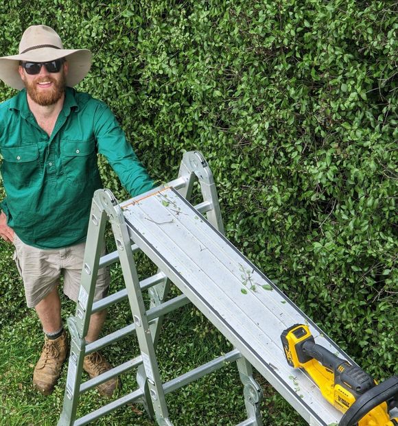 cleaning the hedge