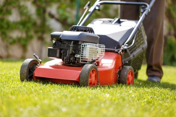 garden cleaning