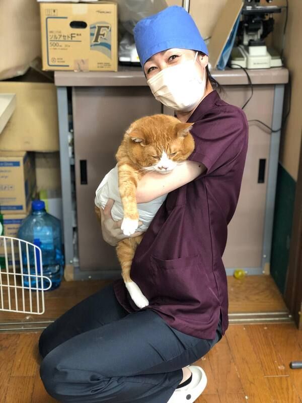 A woman wearing a mask is kneeling down holding a cat