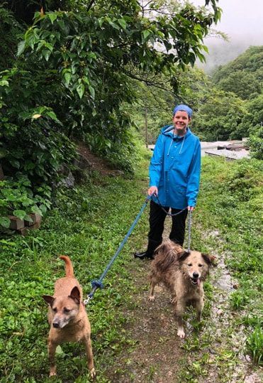 A man is walking two dogs on a leash.