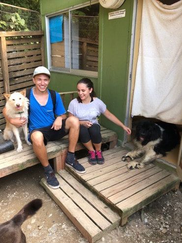 A man and a woman are sitting on a wooden bench with two dogs.