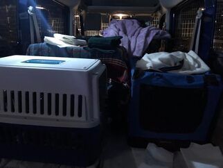 A dog crate is sitting in the back of a car.